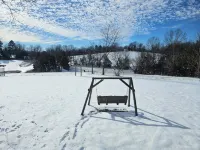 Meadow View Tiny Home Style Cabin near the Buffalo River. Pet Friendly - Wifi