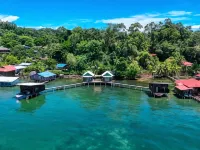 The Sea Monkey Hotels in Bastimentos Island