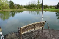 Rest and relax- great view of Hemlock hills and surrounding area. - Homestays