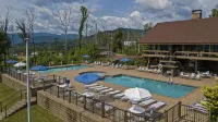 Location! Location! Best Views in the Smokies! Sleeps 10 - Private Pools