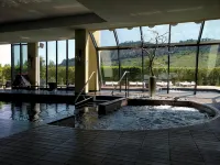 Regis Resort & Wellness - gimnasio