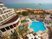 Brown Dead Sea - Beach