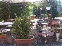 B&B Il Moscondoro - Homestays