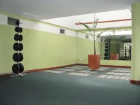 Apartahotel Vincent Suites