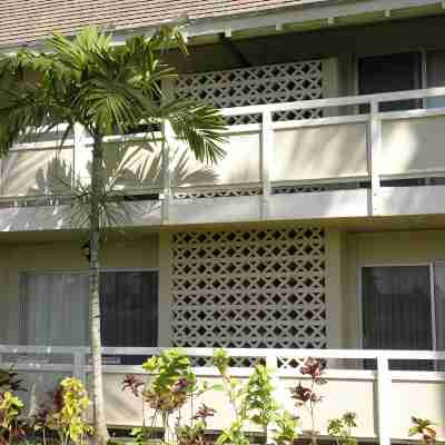 Deluxe 1 Bedroom Ocean View Condo with hot tub and pools & short stroll to beach Hotel Exterior