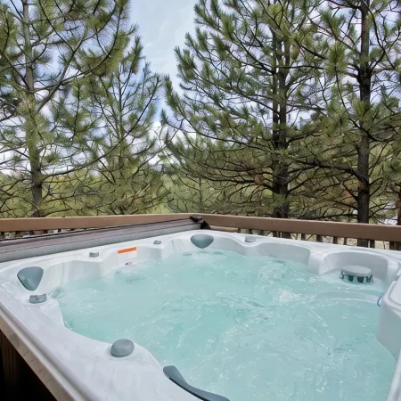 2 Mountain Cabins on 40 acres