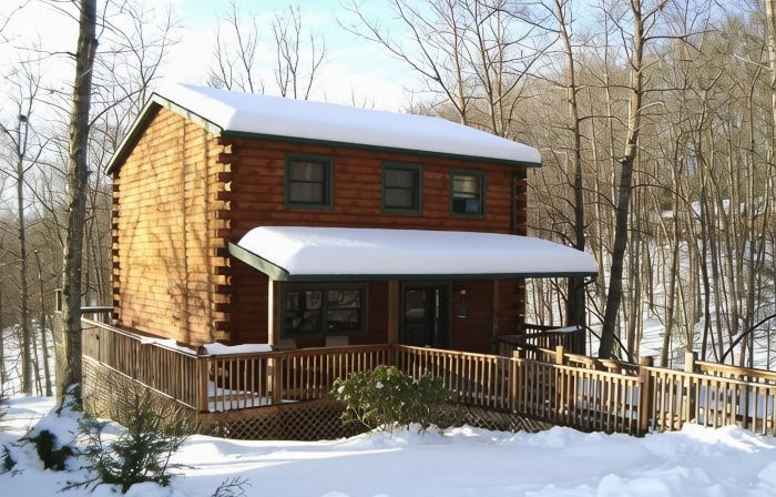 The Cardinal log cabin. Wrap around deck, firepit. Next to Pipestem resort park.