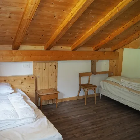 Apartment 14 people in a typical chalet - Chatel Reservation Hotels in Chatel
