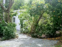 The Boat Shed - Homestays