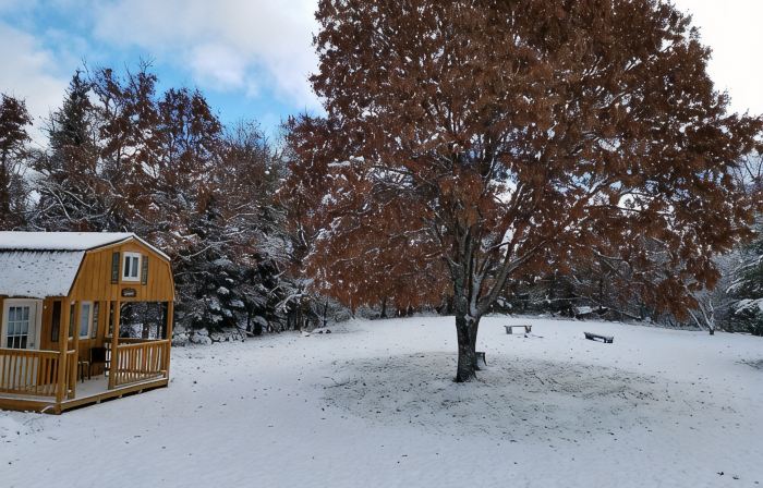 Spacious Four Bedroom Cabin for Northern Escape
