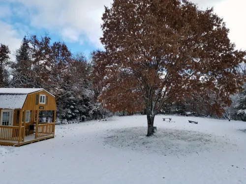 Spacious Four Bedroom Cabin for Northern Escape - 3-stjärniga