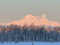 Timberframe Cabin in the Alaskan Backcountry - Alphydda