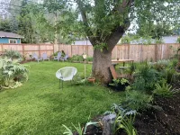 Friendly Alley Bungalow~Private Oasis Close to UO - Bungalows