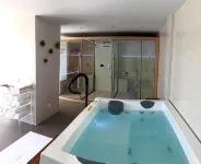 Hotel Royal Plaza - Hot Tub