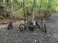 Cozy retreat in Damascus on the AT and Creeper Trail. Pet Friendly! - Hytter