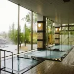 Morinoyu Hotel Hanakagura - Varme kilder