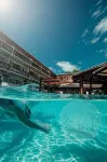 Kaiviti Motel - piscina