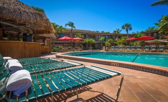 Best Western Naples Inn  Suites