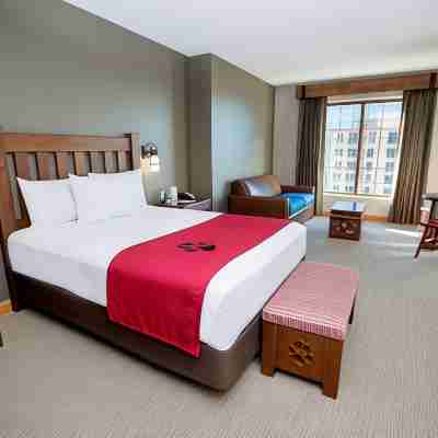 Great Wolf Lodge Bloomington Rooms