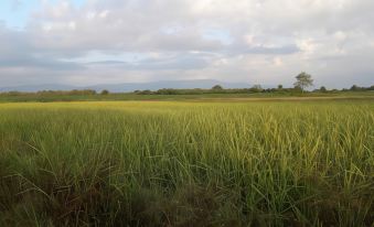 Panna Kalong - Housity