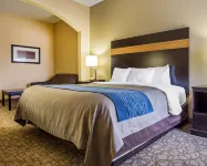 Comfort Inn & Suites at Stone Mountain Hotels in Stone Mountain