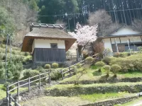 Kamigoten Ryokan Hotels in Tanabe