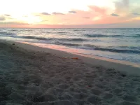 "Teodora" - 450m from the Sea