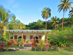 秀灣斐濟力特度假酒店 - 位於塔韋烏尼島外