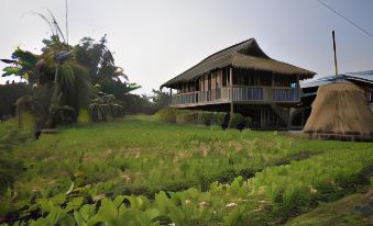 Malikha Lodge