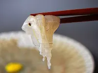 由幸