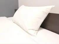 호텔 트렌드 니시신사이바시 에비스 다리 주변 호텔