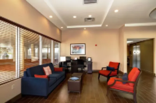 Comfort Suites Clearwater - Dunedin