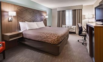 Best Western Gwinnett Center Hotel