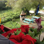 Artemis Apartments Hotels in Papigko