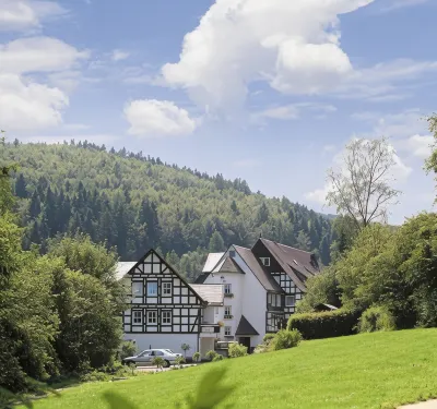 Hotel & Gasthof Hubertushöhe Hotels in Bad Berleburg