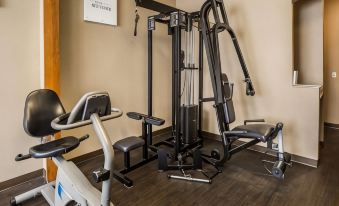 Comfort Suites Stafford Near Sugarland