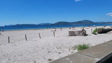 Actinia Accommodation