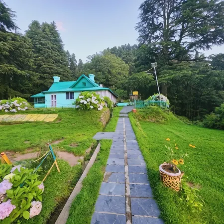 Forest Vibes Kalatop Rooms Restaurant