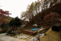 Pinearoma Pension