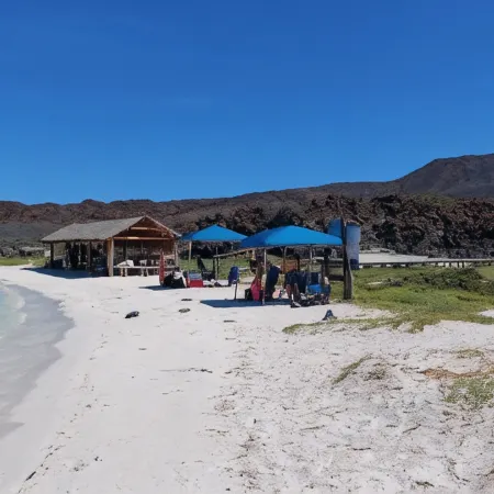 Hotel Loreto Palmar