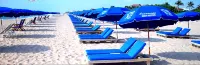 Luxurious Delray Beach Pool Home in Downtown Delray! VIP Beach Passes!