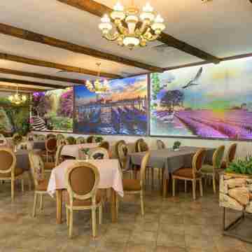 Hotel Allegra Balneo & Spa Dining/Meeting Rooms