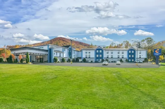 Comfort Inn Asheville East-Blue Ridge Pkwy Access Отели рядом с достопримечательностью «Friends of WNC Nature Center»