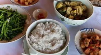 森林小屋