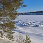 Severnaya Zvezda (f. Kolos Camp)