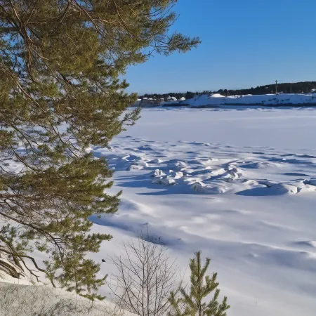 Северная Звезда (б. Колос Турбаза)