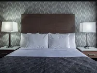Monte Carlo Inn - Toronto Markham Hotels in Markham