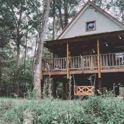 Fairytale Forest River Cabin Others