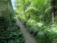Tropical palm resort is a nice quiet and safe place to stay with friends or fam - 2-نجوم