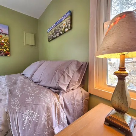 Darling cabin on Lake Huron in the beautiful Les Cheneaux Islands of Cedarville.